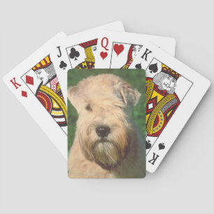 Cartes de jeu de chien de Terrier roux à revêtemen