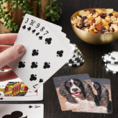 Cartes de jeu de chien espagnol Springer (In Situ)