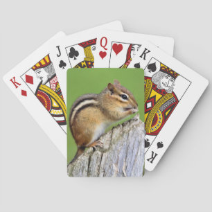 Cartes de jeu de Chipmucnk de charpentier