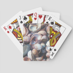 Cartes de jeu de coquillages