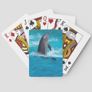 Cartes de jeu de dauphin