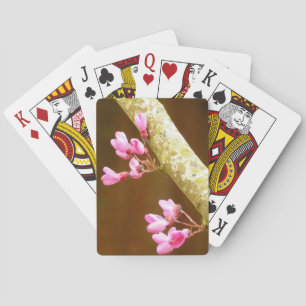 Cartes de jeu de fleurs d'arbre de judas