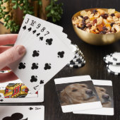Cartes de jeu de golden retriever (In Situ)