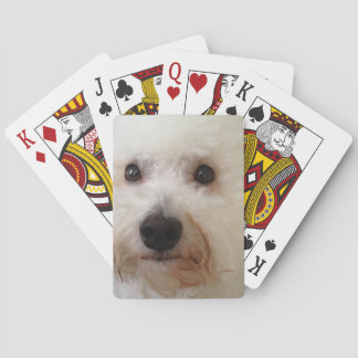 Cartes de jeu de "Gucci" -