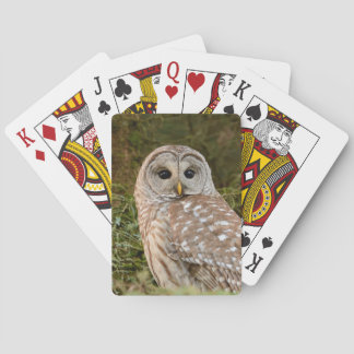 Cartes de jeu de hibou barré
