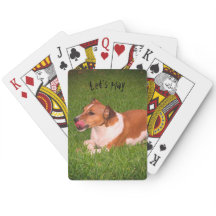 Cartes de jeu de Jack Russell