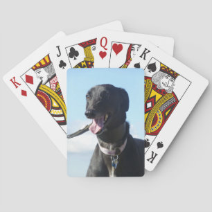 Cartes de jeu de lévrier (4)