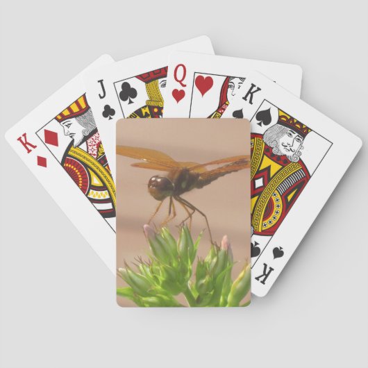 Cartes de jeu de libellules (dos)