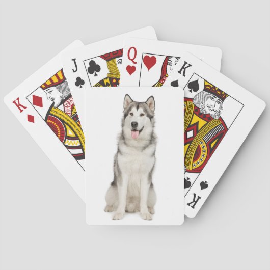 Cartes de jeu de Malamute d'Alaska (dos)