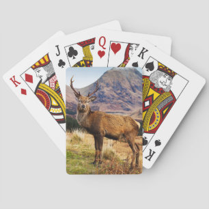 Cartes de jeu de mâle