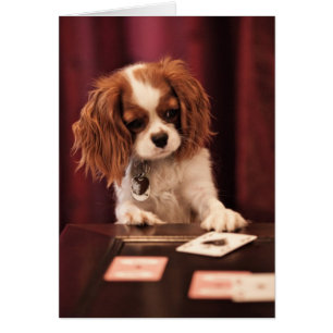 Cartes de jeu de marionnettes