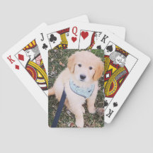 Cartes de jeu de marionnettes Golden Retriever