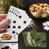Cartes de jeu de moutons d'agneau de bébé (In Situ)