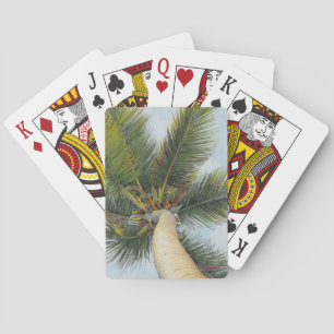 Cartes de jeu de "palmier" de Paul McGehee