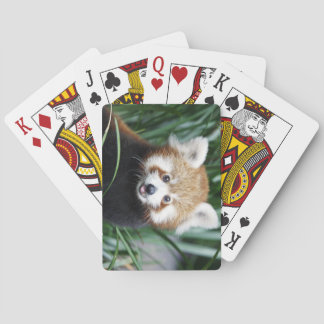 Cartes de jeu de panda rouge