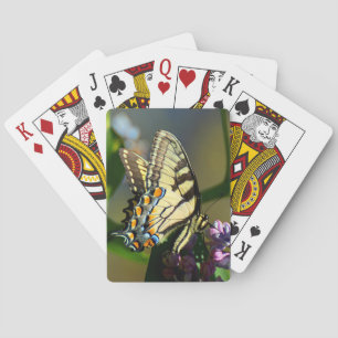 Cartes de jeu de papillon de machaon de tigre