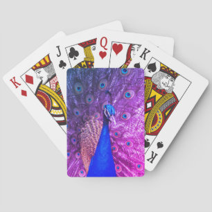 Cartes de jeu de paquebots