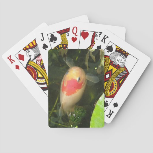 Cartes de jeu de poisson rouge (dos)