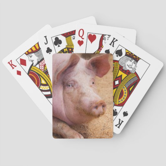 Cartes de jeu de porc (dos)