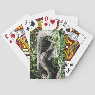 Cartes de jeu de serpent
