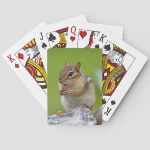 Cartes de jeu de tamia