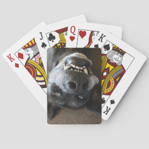 Cartes de jeu de Teef du gauchiste