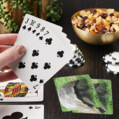 Cartes de jeu de tortue géante (In Situ)
