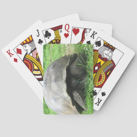 Cartes de jeu de tortue géante (dos)