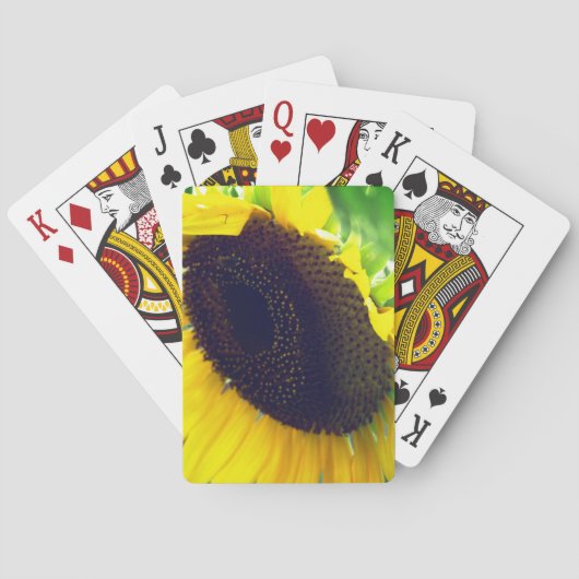 Cartes de jeu de tournesol (dos)