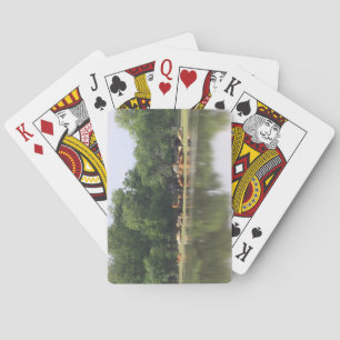 Cartes De Jeu De Vache