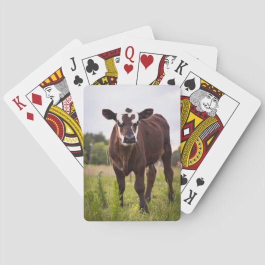 Cartes de jeu de vache (dos)