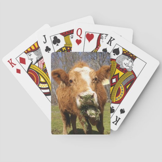 Cartes De Jeu De Vache (dos)