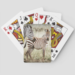 Cartes de jeu de zèbre et de bébé