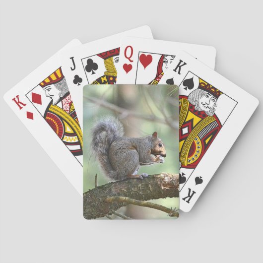 Cartes de jeu d'écureuils (dos)