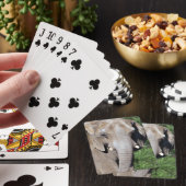 Cartes de jeu d'éléphant (In Situ)