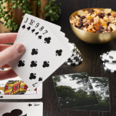 Cartes de jeu déplaisantes en forêt (In Situ)