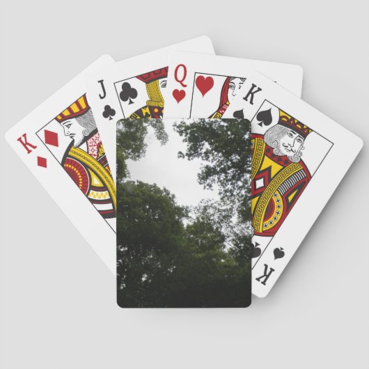 Cartes de jeu déplaisantes en forêt (dos)