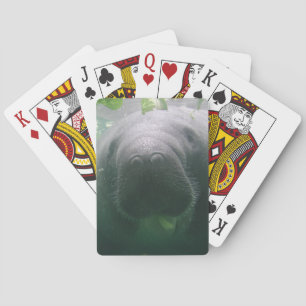 Cartes de jeu désordonnées de lamantin