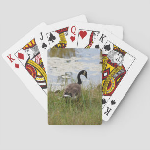 Cartes de jeu d'oie du Canada