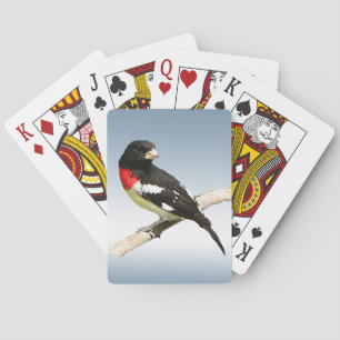 Cartes de jeu d'oiseau de gros-bec de