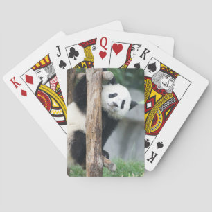 Cartes de jeu étonnées de CUB de panda