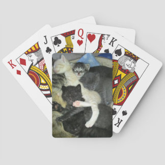 Cartes de jeu faisantes une sieste de chatons,