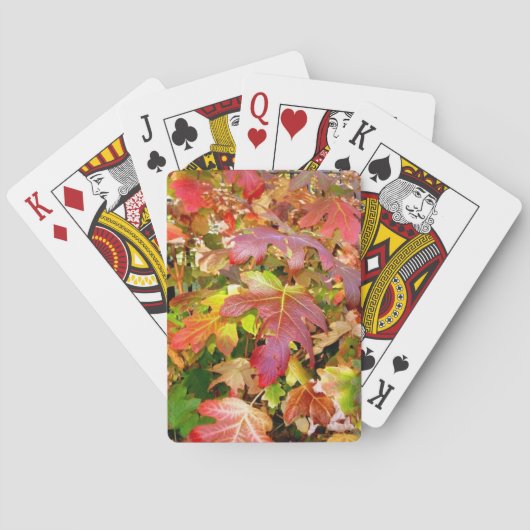 Cartes de jeu 'Feuilles d'automne' (dos)