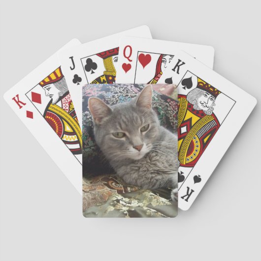 Cartes de jeu grises de chat de caresses (dos)