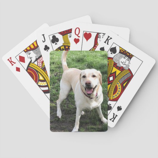 Cartes de jeu Labrador (dos)
