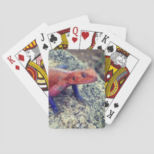 Cartes de jeu Lizard