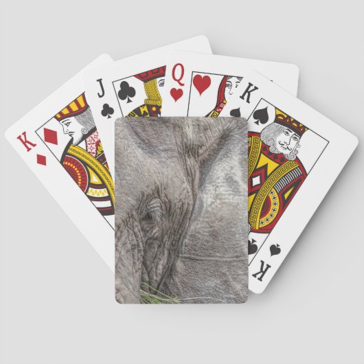 Cartes de jeu magnifiques d'éléphant (dos)