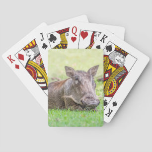 Cartes de jeu merveilleuses de Warthog
