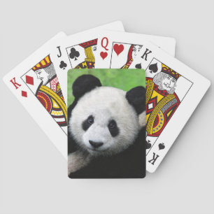 Cartes de jeu mignonnes de panda géant