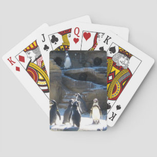 Cartes de jeu mignonnes de penquins de zoo